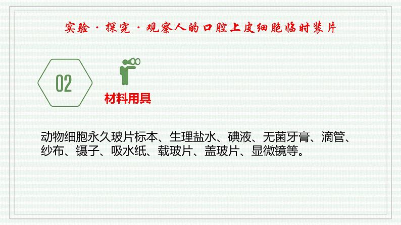 1.2.3 动物细胞(跟踪训练)(含答案) 2024-2025学年七年级生物上学期同步课件+分层练(2024人教版)05