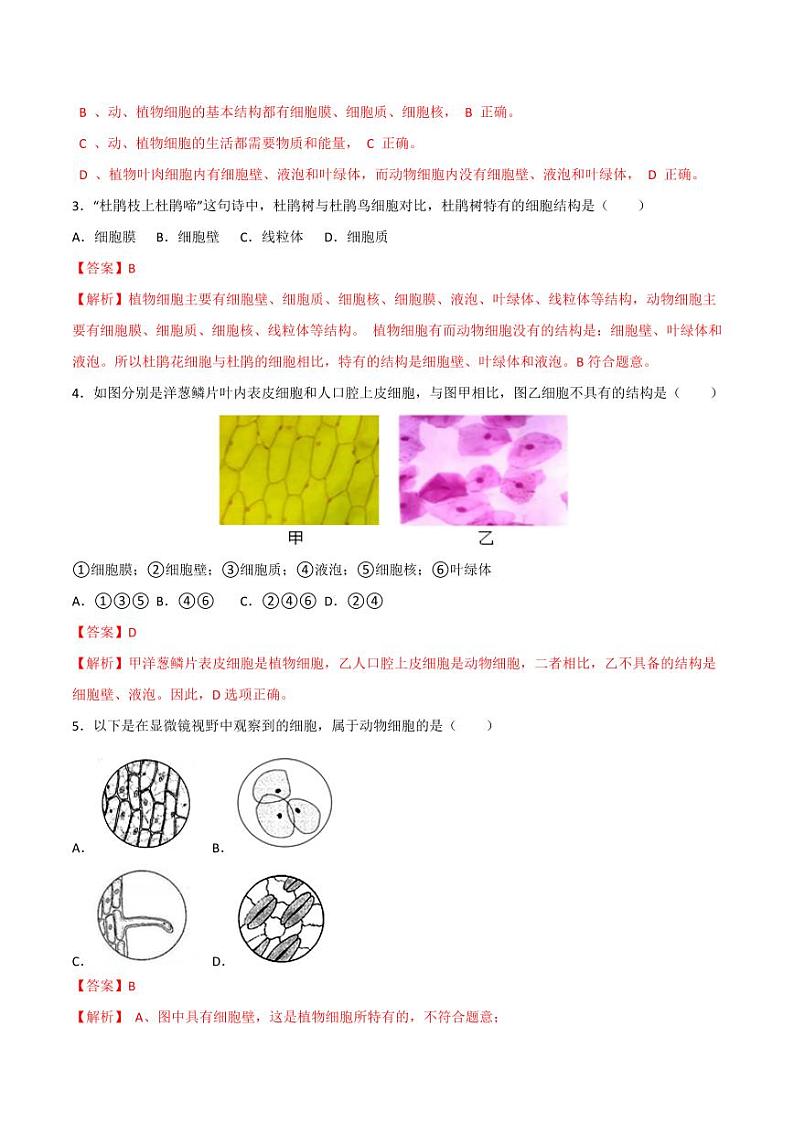 1.2.3 动物细胞(跟踪训练)(含答案) 2024-2025学年七年级生物上学期同步课件+分层练(2024人教版)02