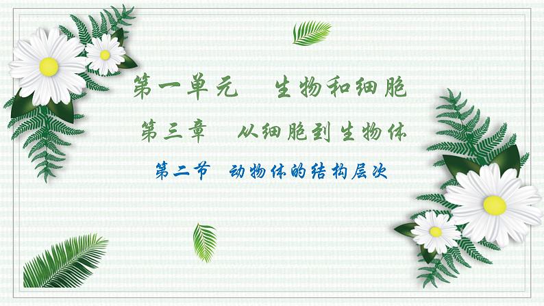 1.3.2 动物体的结构层次(跟踪训练)(含答案) 2024-2025学年七年级生物上学期同步课件+分层练(2024人教版)01