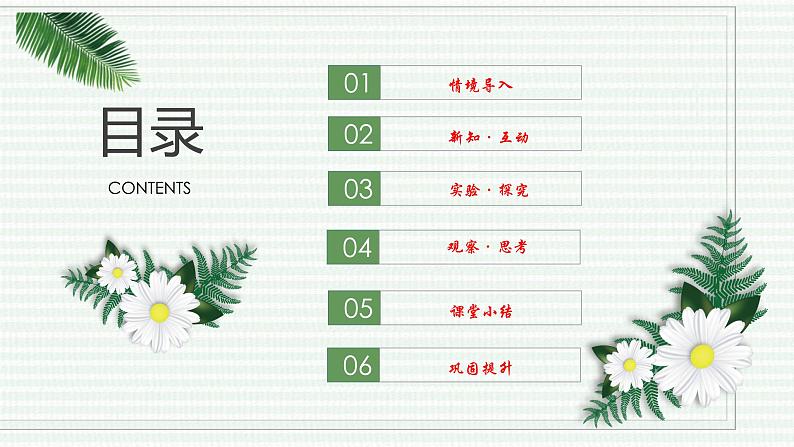 1.3.2 动物体的结构层次(跟踪训练)(含答案) 2024-2025学年七年级生物上学期同步课件+分层练(2024人教版)02