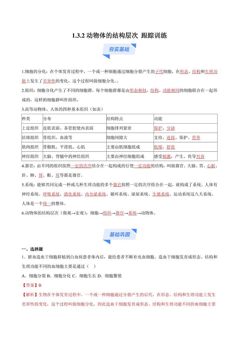 1.3.2 动物体的结构层次(跟踪训练)(含答案) 2024-2025学年七年级生物上学期同步课件+分层练(2024人教版)01