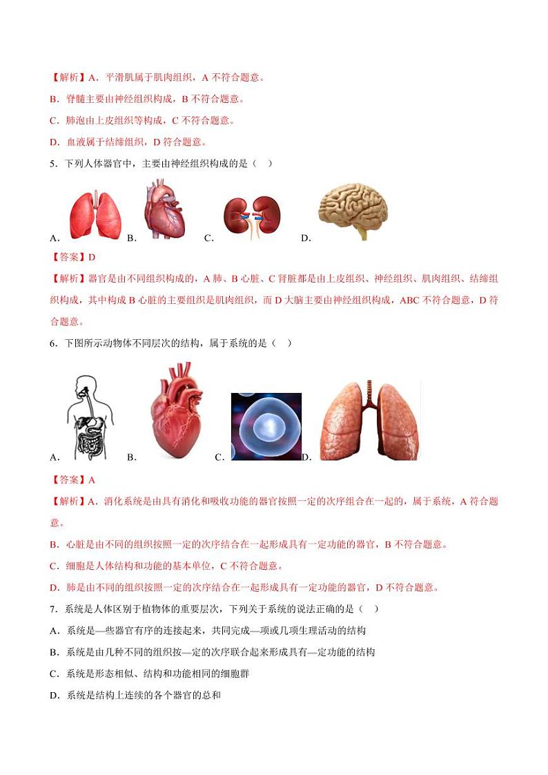 1.3.2 动物体的结构层次(跟踪训练)(含答案) 2024-2025学年七年级生物上学期同步课件+分层练(2024人教版)03