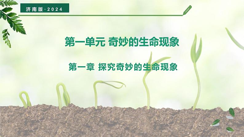 【核心素养】济南版(2024)生物七年级上册 1.1.1 生物具有基本的生命特征(教学课件+同步练习)01