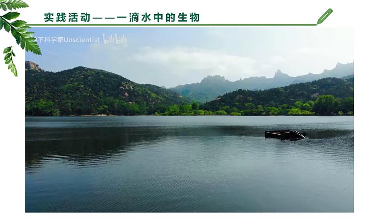 【核心素养】济南版(2024)生物七年级上册 1.1.1 生物具有基本的生命特征(教学课件+同步练习)02