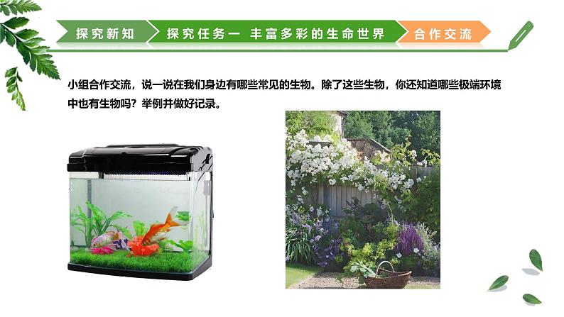 【核心素养】济南版(2024)生物七年级上册 1.1.1 生物具有基本的生命特征(教学课件+同步练习)07
