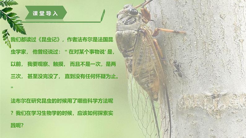 【核心素养】济南版(2024)生物七年级上册 1.1.2 探究实践是研究生命现象的重要途径(教学课件+同步练习)05