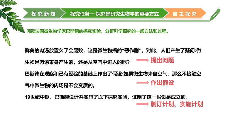 【核心素养】济南版(2024)生物七年级上册 1.1.2 探究实践是研究生命现象的重要途径(教学课件+同步练习)06