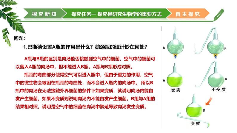 【核心素养】济南版(2024)生物七年级上册 1.1.2 探究实践是研究生命现象的重要途径(教学课件+同步练习)07