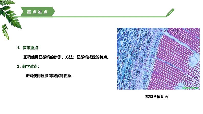 【核心素养】济南版(2024)生物七年级上册 1.1.3 研究生物学需要特定的器具(教学课件+同步练习)04