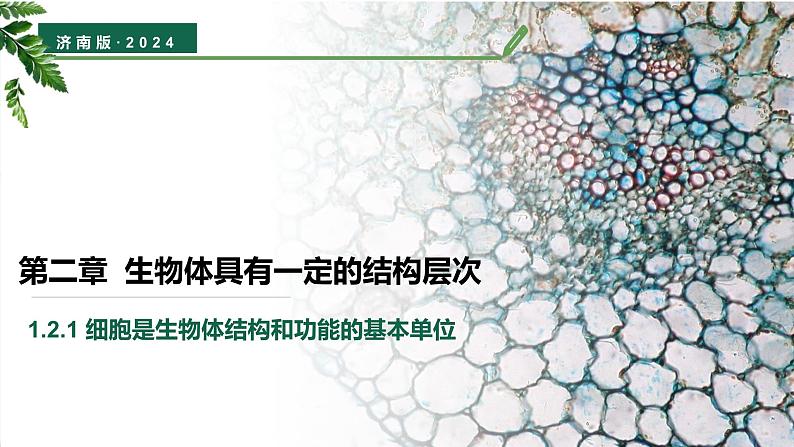 【核心素养】济南版(2024)生物七年级上册 1.2.1 细胞是生物体结构和功能的基本单位(教学课件)01