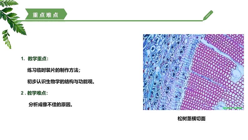 【核心素养】济南版(2024)生物七年级上册 1.2.1 细胞是生物体结构和功能的基本单位(教学课件)04