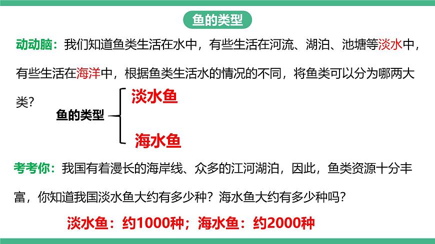 人教版八年級生物上學期  5.1.4《魚》課件第7頁