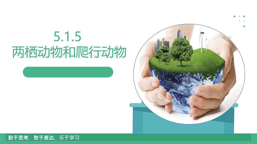 人教版八年級生物上學(xué)期  5.1.5《兩棲動(dòng)物和爬行動(dòng)物》課件第1頁
