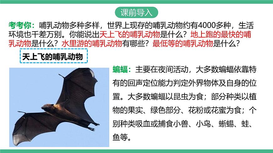 人教版八年級生物上學期  5.1.7《哺乳動物》課件第3頁