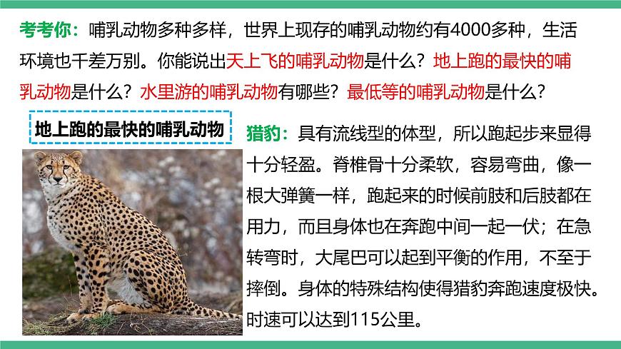 人教版八年級生物上學期  5.1.7《哺乳動物》課件第4頁
