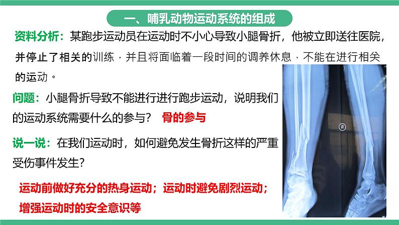 人教版八年级生物上学期 5.2.1《动物的运动》课件+素材04