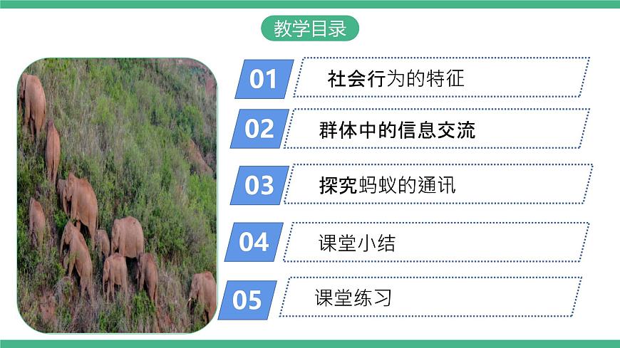 人教版八年級生物上學(xué)期  5.2.3《社會行為》課件第2頁