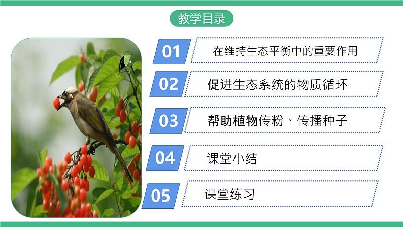 人教版八年级生物上学期 5.3《动物在生物圈中的作用》课件+素材02