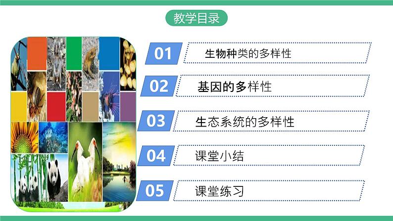 人教版八年级生物上学期 6.2《认识生物的多样性》课件+素材02