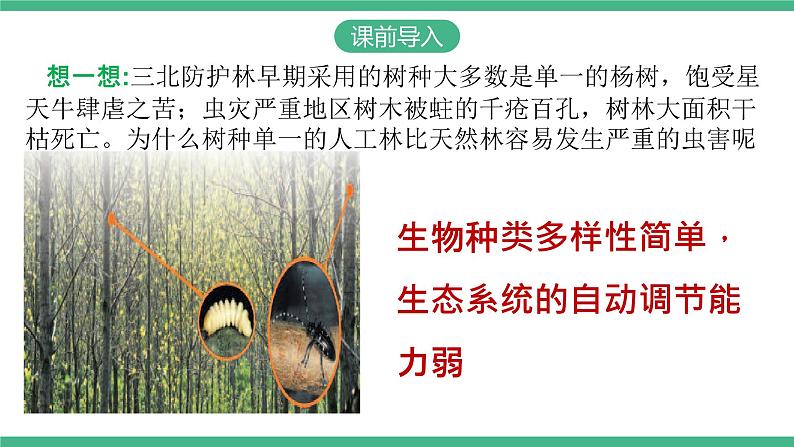 人教版八年级生物上学期 6.2《认识生物的多样性》课件+素材03