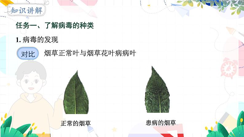 人教版 生物 八上 第5单元 第5章 病毒 PPT课件06