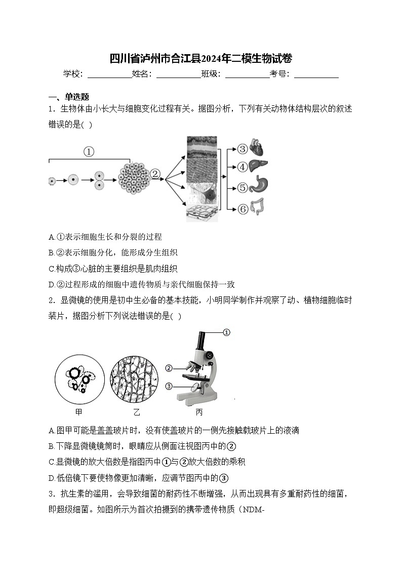 四川省泸州市合江县2024年二模生物试卷(含答案)第1页