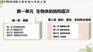 生物七年级上册（2024）第一节 显微镜的使用优质课件ppt