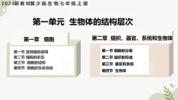 【核心素养】冀少版（2024）生物七年级上册 1.1.1 显微镜的使用 同步课件+同步练习