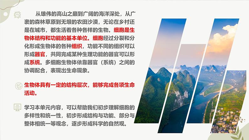 【核心素养】冀少版(2024)生物七年级上册 1.1.1 显微镜的使用 同步课件+同步练习02