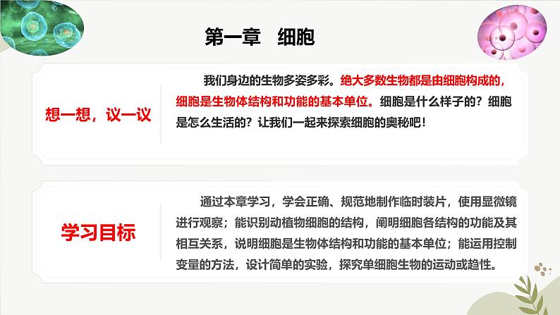 【核心素养】冀少版(2024)生物七年级上册 1.1.1 显微镜的使用 同步课件+同步练习03