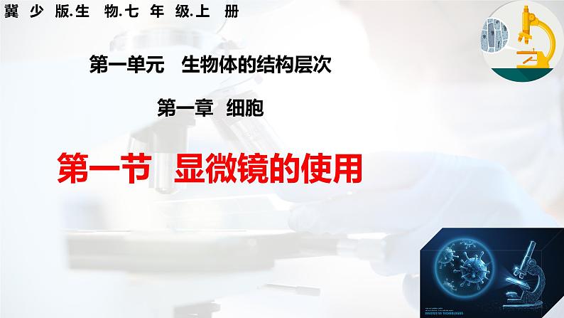 【核心素养】冀少版(2024)生物七年级上册 1.1.1 显微镜的使用 同步课件+同步练习04