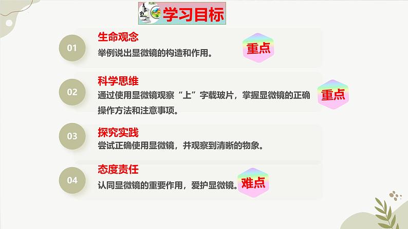 【核心素养】冀少版(2024)生物七年级上册 1.1.1 显微镜的使用 同步课件+同步练习06