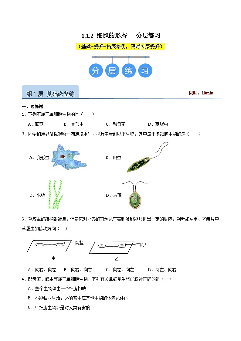 【核心素养】冀少版(2024)生物七年级上册 1.1.2 细胞的形态 同步课件+同步练习01