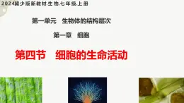 【核心素养】冀少版（2024）生物七年级上册 1.1.4  细胞的生命活动 同步课件+同步练习