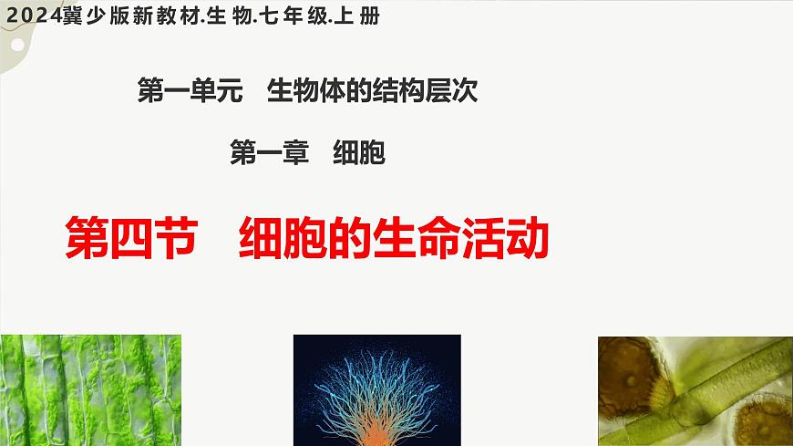 【核心素養(yǎng)】晉少版（2024）生物七年級(jí)上冊(cè) 1.1.4  細(xì)胞的生命活動(dòng) 同步課件第1頁(yè)