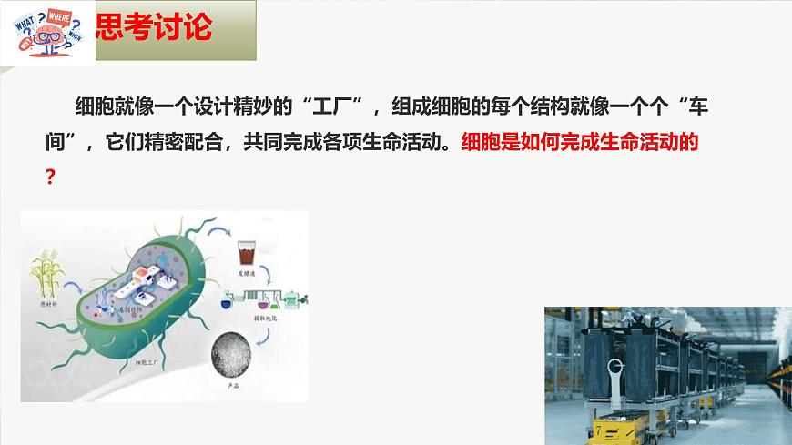 【核心素養(yǎng)】晉少版（2024）生物七年級(jí)上冊(cè) 1.1.4  細(xì)胞的生命活動(dòng) 同步課件第2頁(yè)
