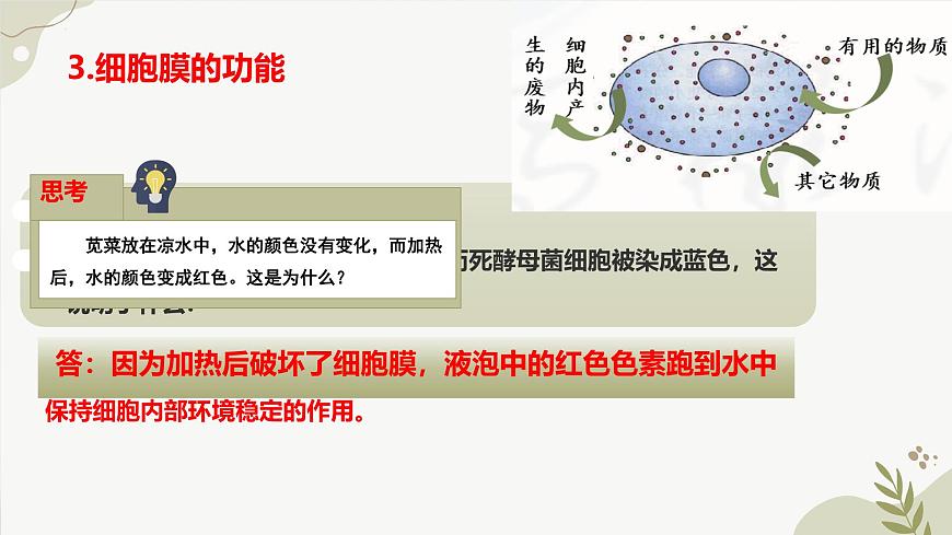 【核心素養(yǎng)】晉少版（2024）生物七年級(jí)上冊(cè) 1.1.4  細(xì)胞的生命活動(dòng) 同步課件第8頁(yè)