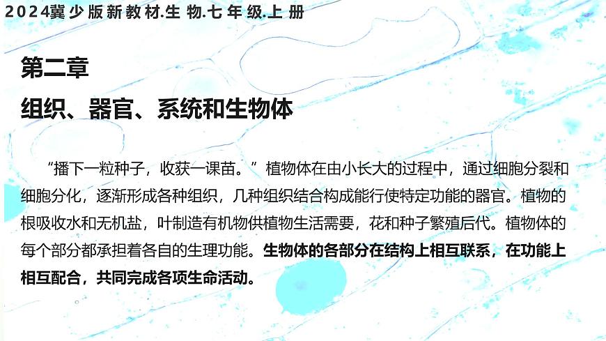 【核心素養(yǎng)】晉少版（2024）生物七年級上冊 1.2.1 細胞的分裂 同步課件第1頁