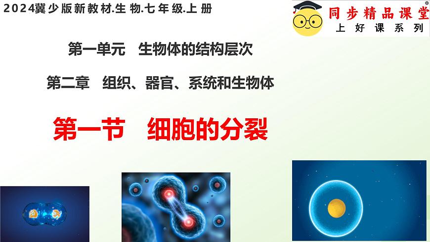 【核心素養(yǎng)】晉少版（2024）生物七年級上冊 1.2.1 細胞的分裂 同步課件第3頁