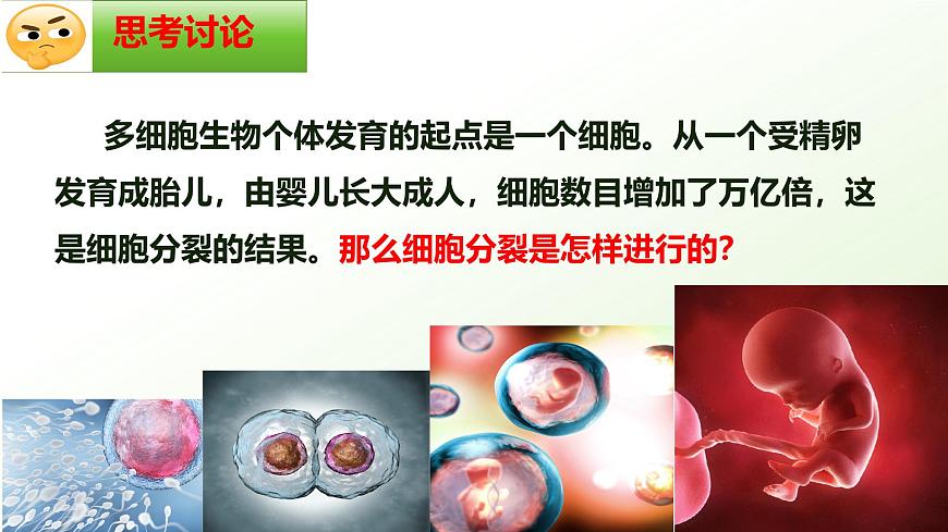 【核心素養(yǎng)】晉少版（2024）生物七年級上冊 1.2.1 細胞的分裂 同步課件第4頁