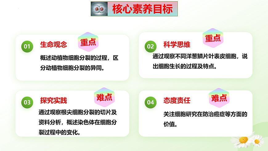【核心素養(yǎng)】晉少版（2024）生物七年級上冊 1.2.1 細胞的分裂 同步課件第5頁