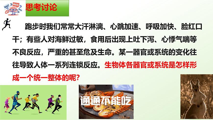 【核心素養(yǎng)】晉少版（2024）生物七年級上冊 1.2.4  生物體 同步課件第2頁