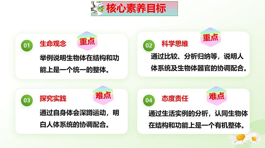 【核心素養(yǎng)】晉少版（2024）生物七年級上冊 1.2.4  生物體 同步課件第3頁