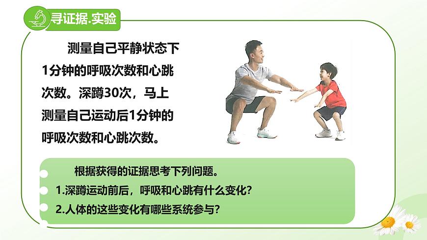 【核心素養(yǎng)】晉少版（2024）生物七年級上冊 1.2.4  生物體 同步課件第4頁