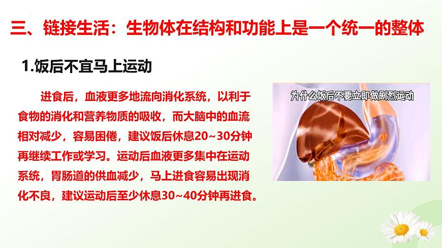 【核心素養(yǎng)】晉少版（2024）生物七年級上冊 1.2.4  生物體 同步課件第8頁