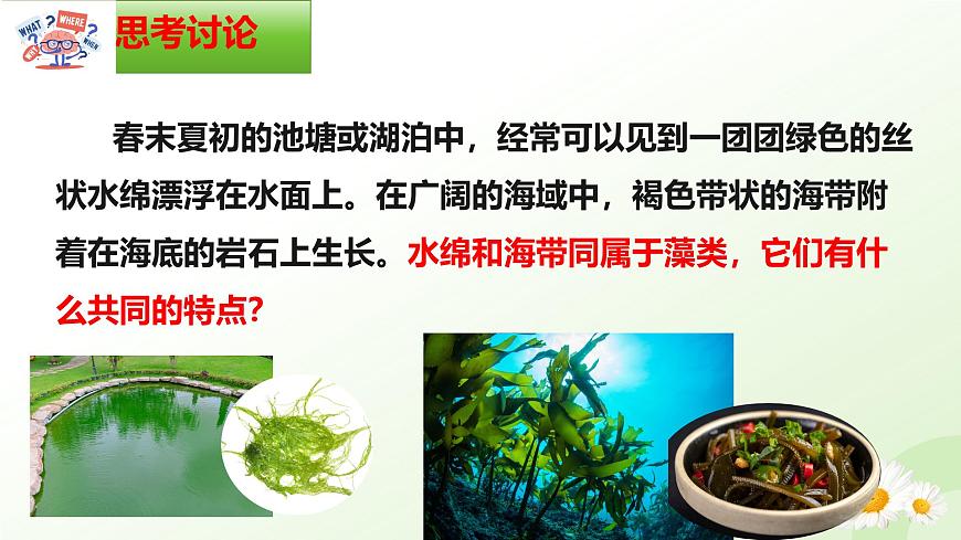 【核心素養(yǎng)】晉少版（2024）生物七年級(jí)上冊(cè) 2.1.1  藻類 同步課件第5頁(yè)