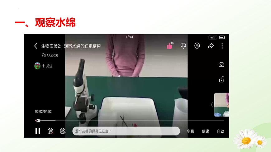 【核心素養(yǎng)】晉少版（2024）生物七年級(jí)上冊(cè) 2.1.1  藻類 同步課件第8頁(yè)