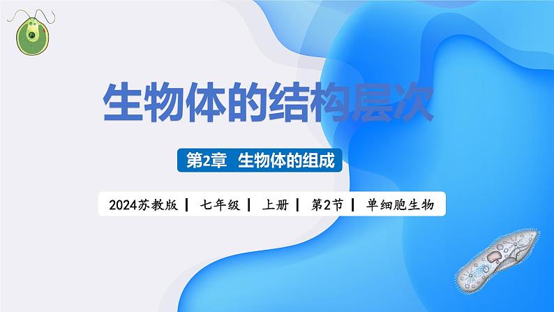【核心素养】苏教版(2024)生物七年级上册 1.2.2 单细胞生物(教学课件+同步练习)01