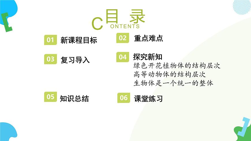 【核心素養(yǎng)】蘇教版（2024）生物七年級上冊 1.2.3 多細胞生物（教學課件）第2頁