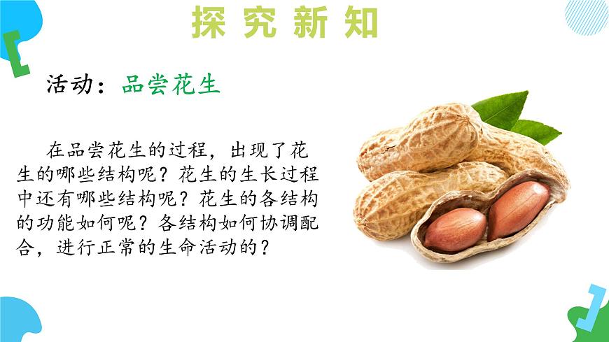 【核心素養(yǎng)】蘇教版（2024）生物七年級上冊 1.2.3 多細胞生物（教學課件）第6頁